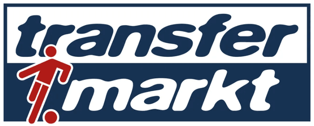  transferMarket Logo - Dark