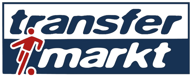 transferMarket Logo- Light